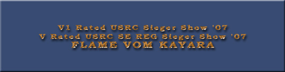 Flame vom Kayara