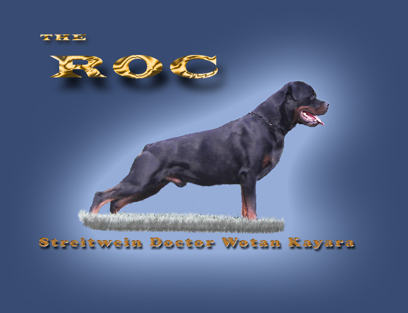 Roc