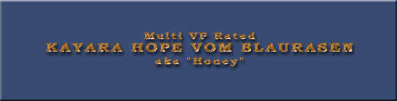 Kayara Hope vom Blaurasen