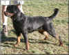 Meggi at 2 1/2 years